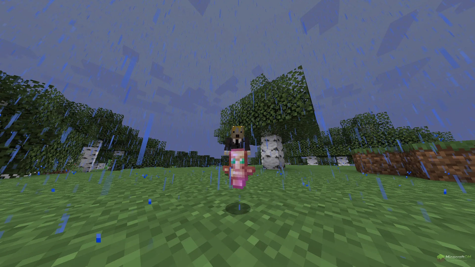 Как выглядит Totem Of Infinity