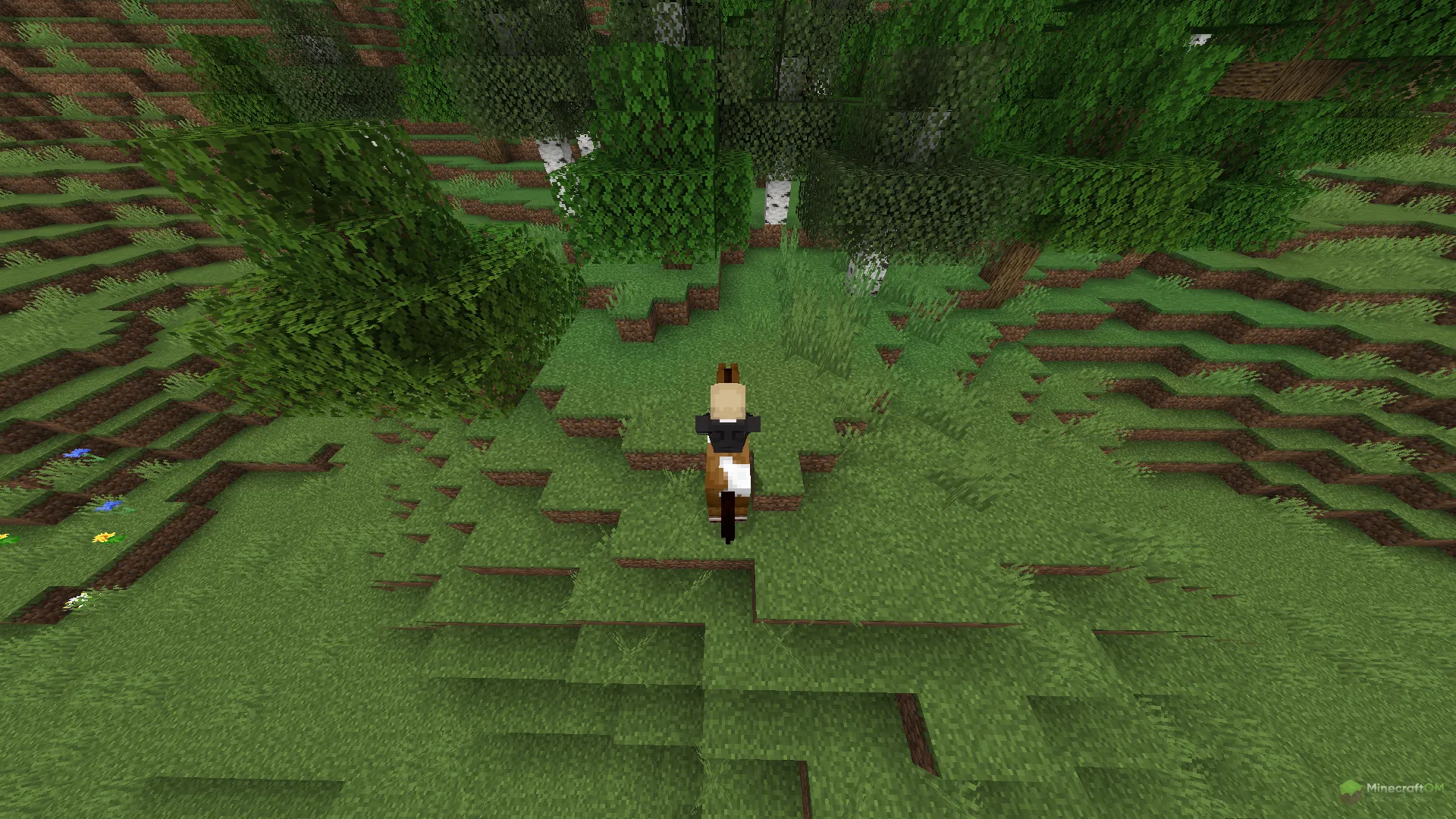 Езда на лошади с модом Bareback Horse Riding