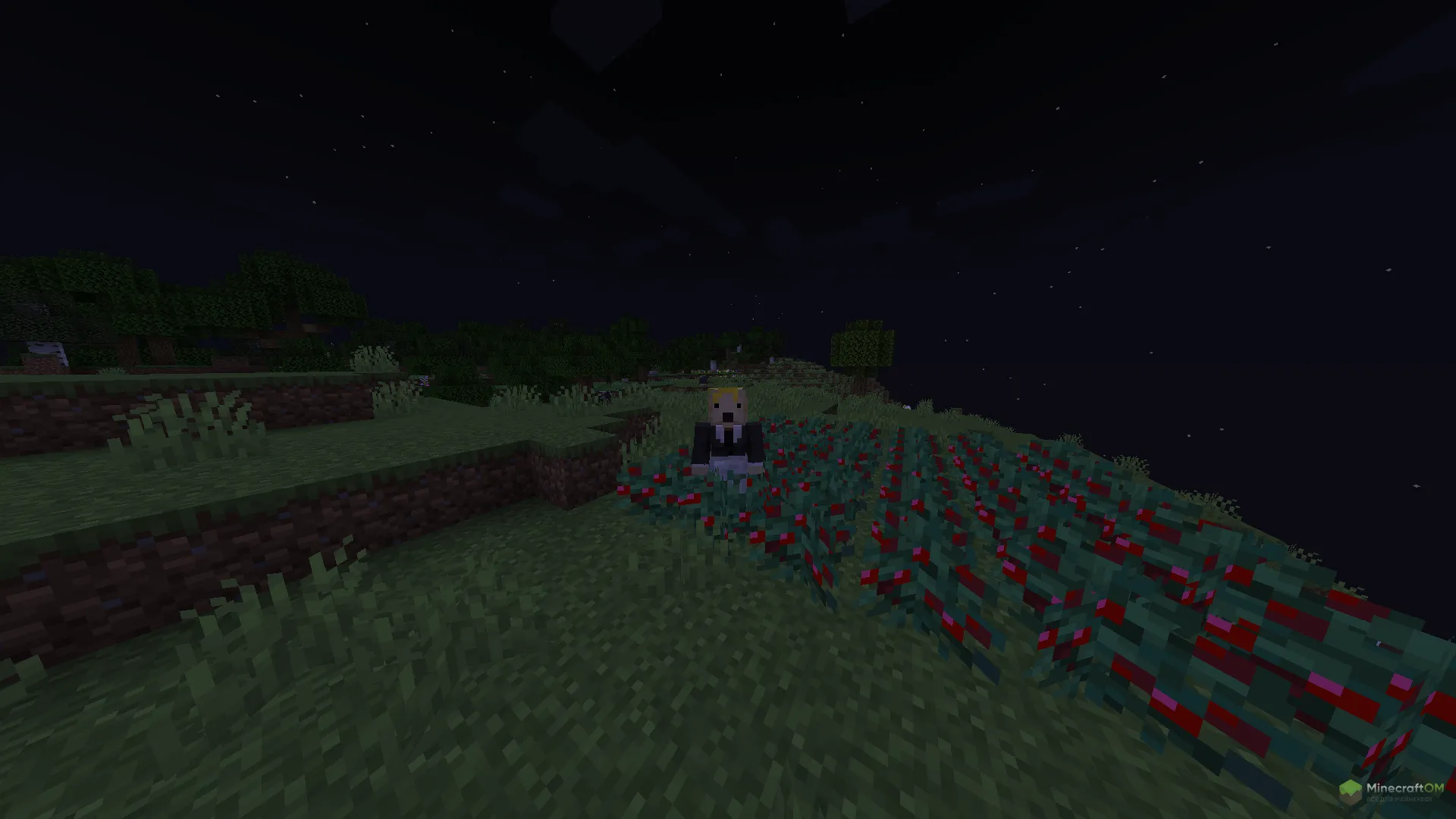 Удобство использования с модом Thorny Bush Protection