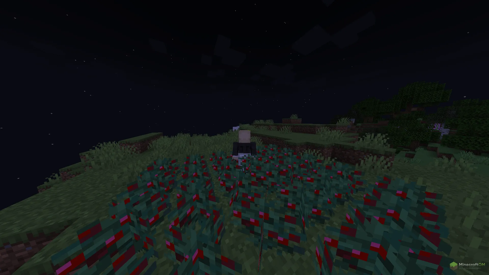 Как использовать мод Thorny Bush Protection