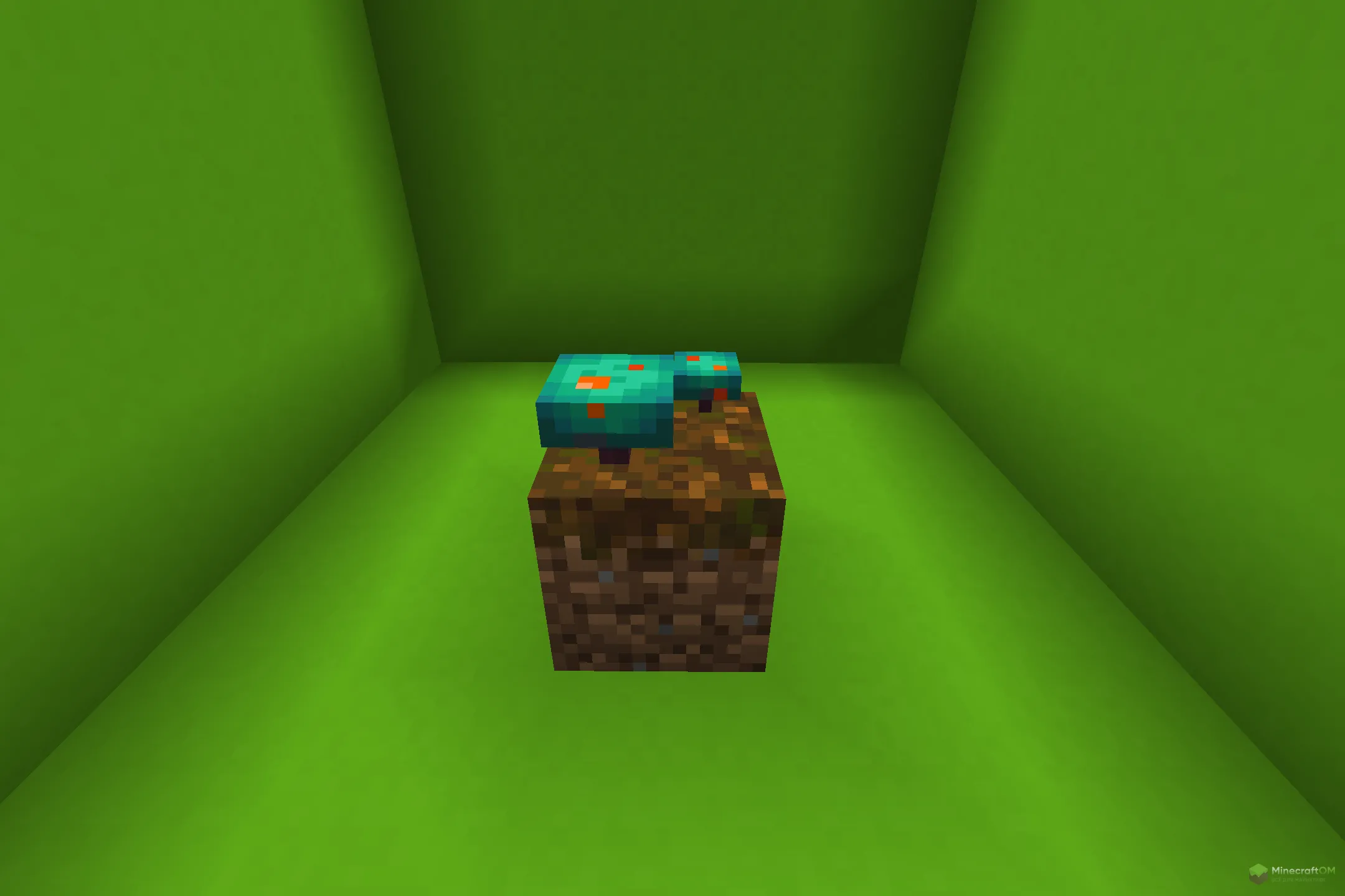 Новый гриб из текстурпака Mushrooms Plus