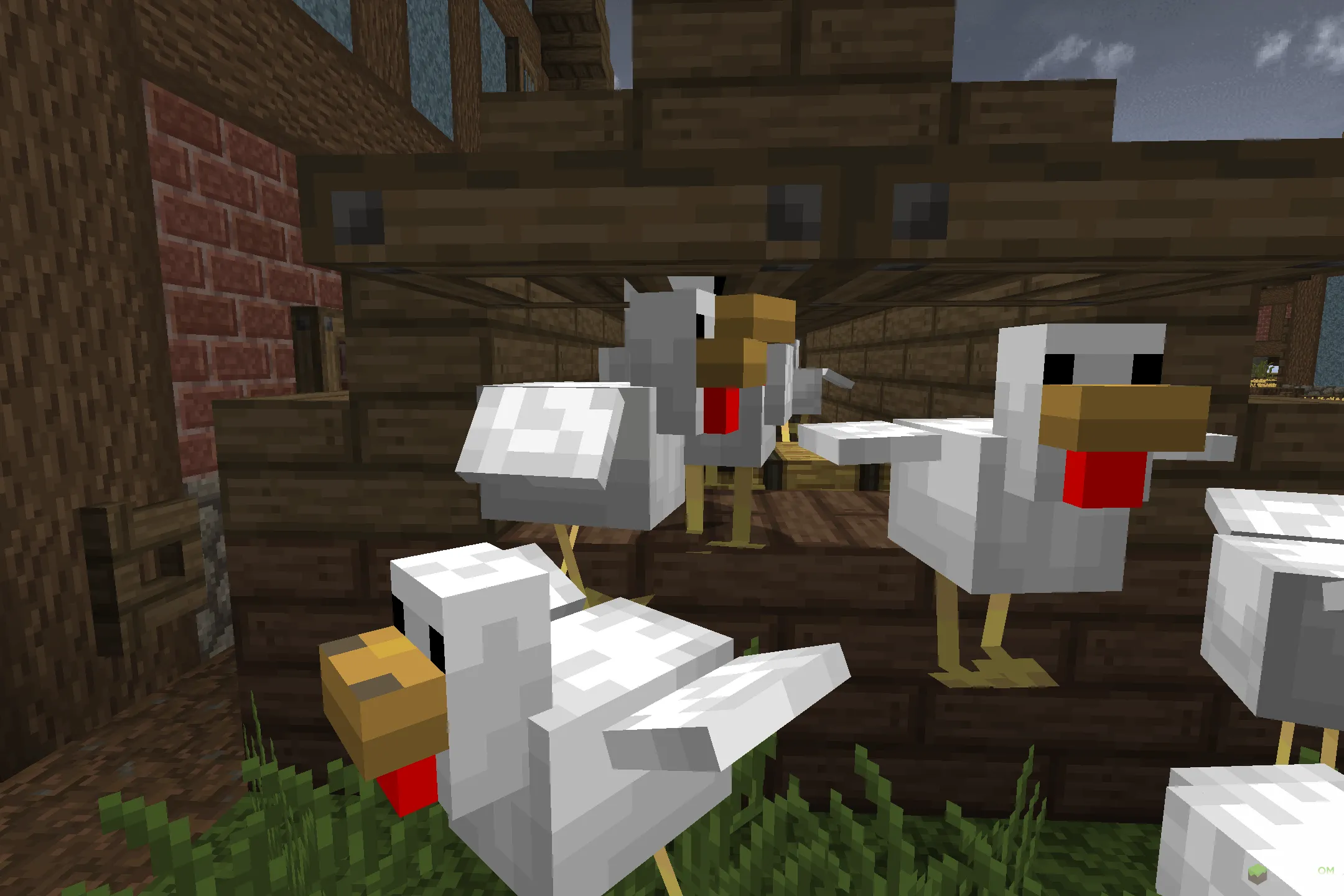 Новые курицы из текстурпака Thalyrus II