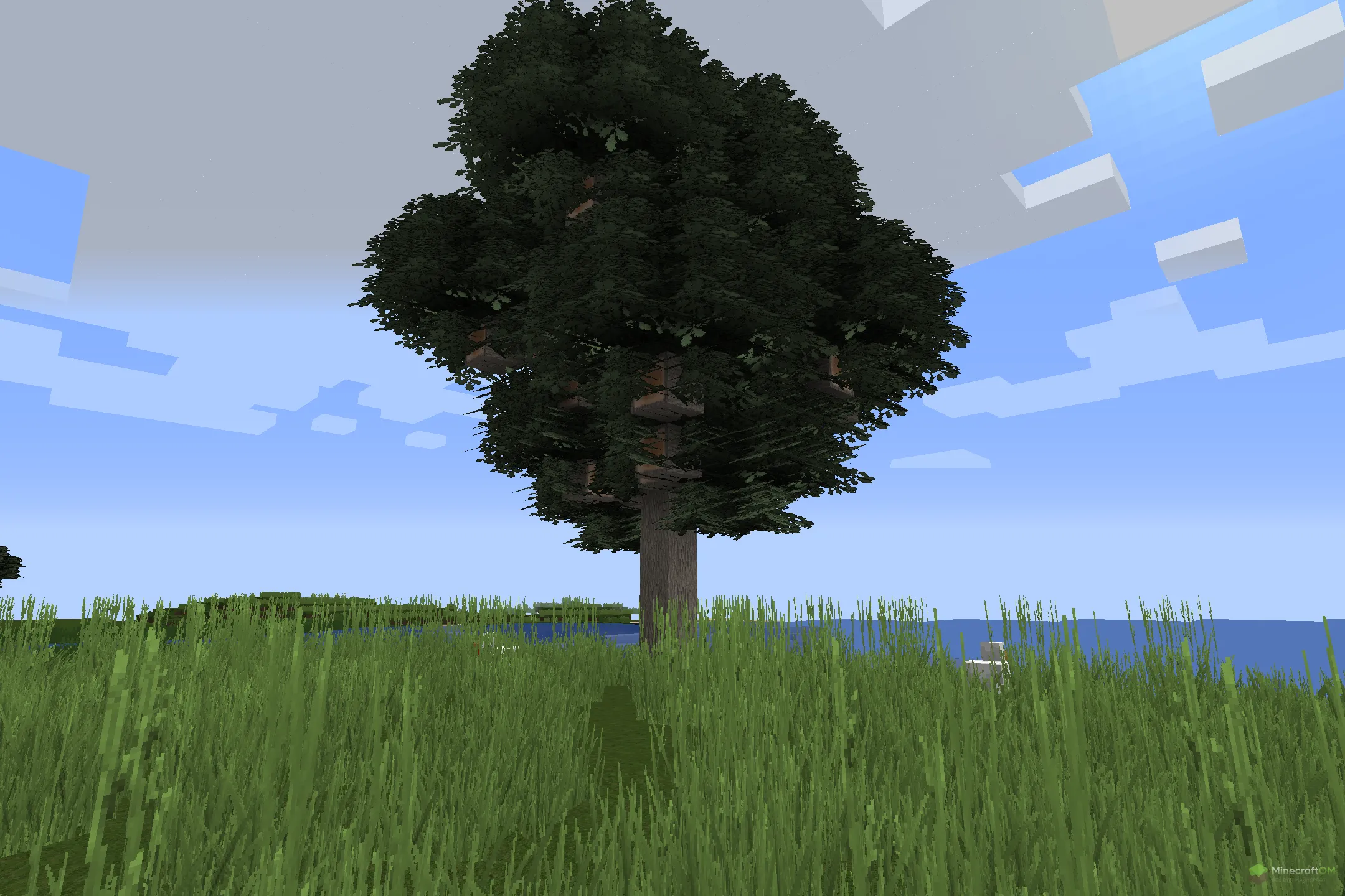 Новое дерево из текстурпака Facus