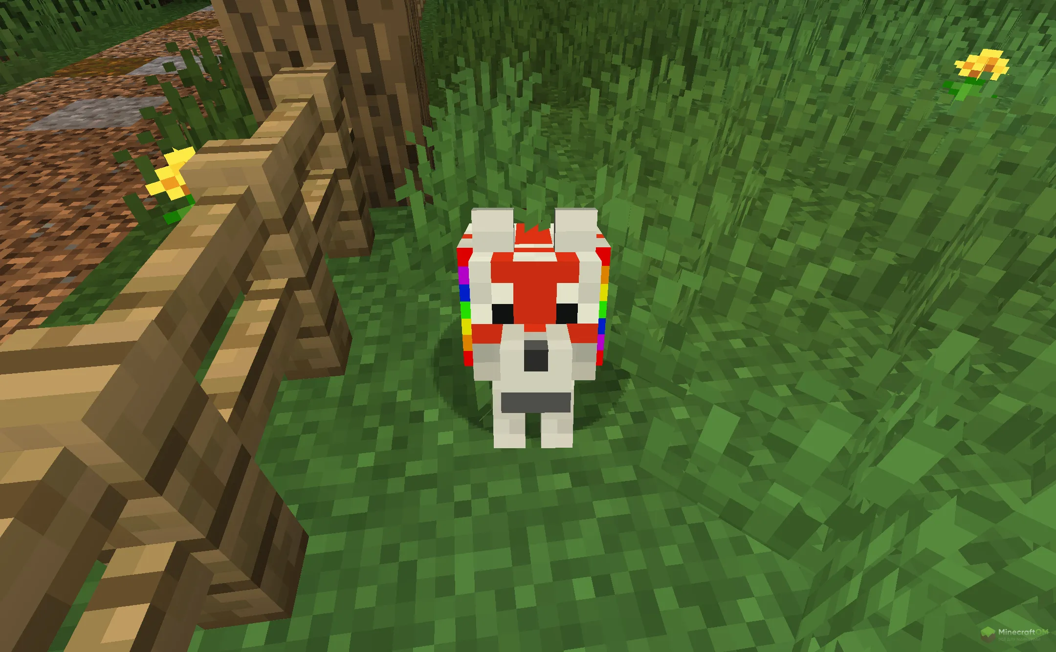 Новая собака из текстурпака Doggy Talent Dog TP