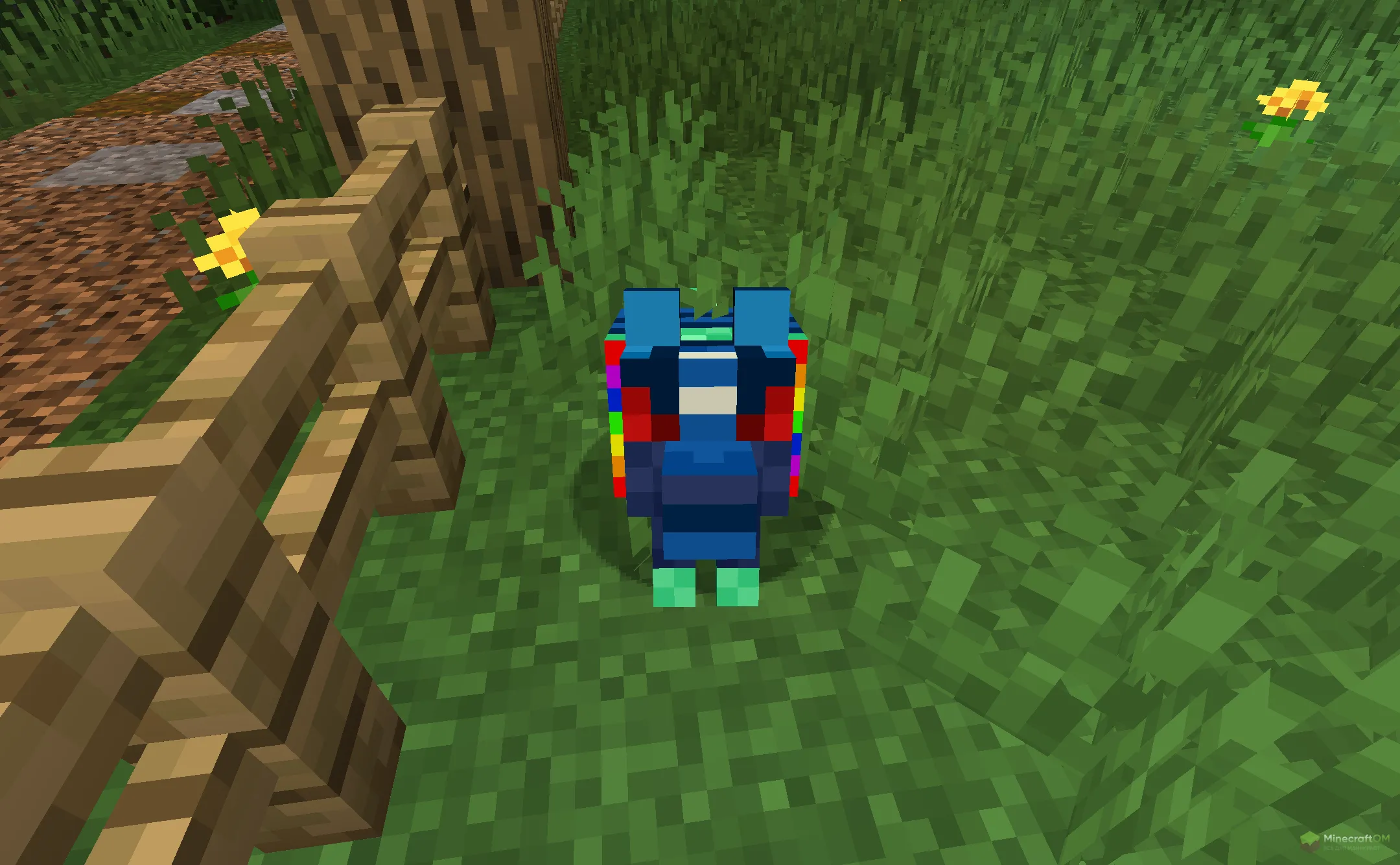 Новая разноцветная собака из текстурпака Doggy Talent Dog TP