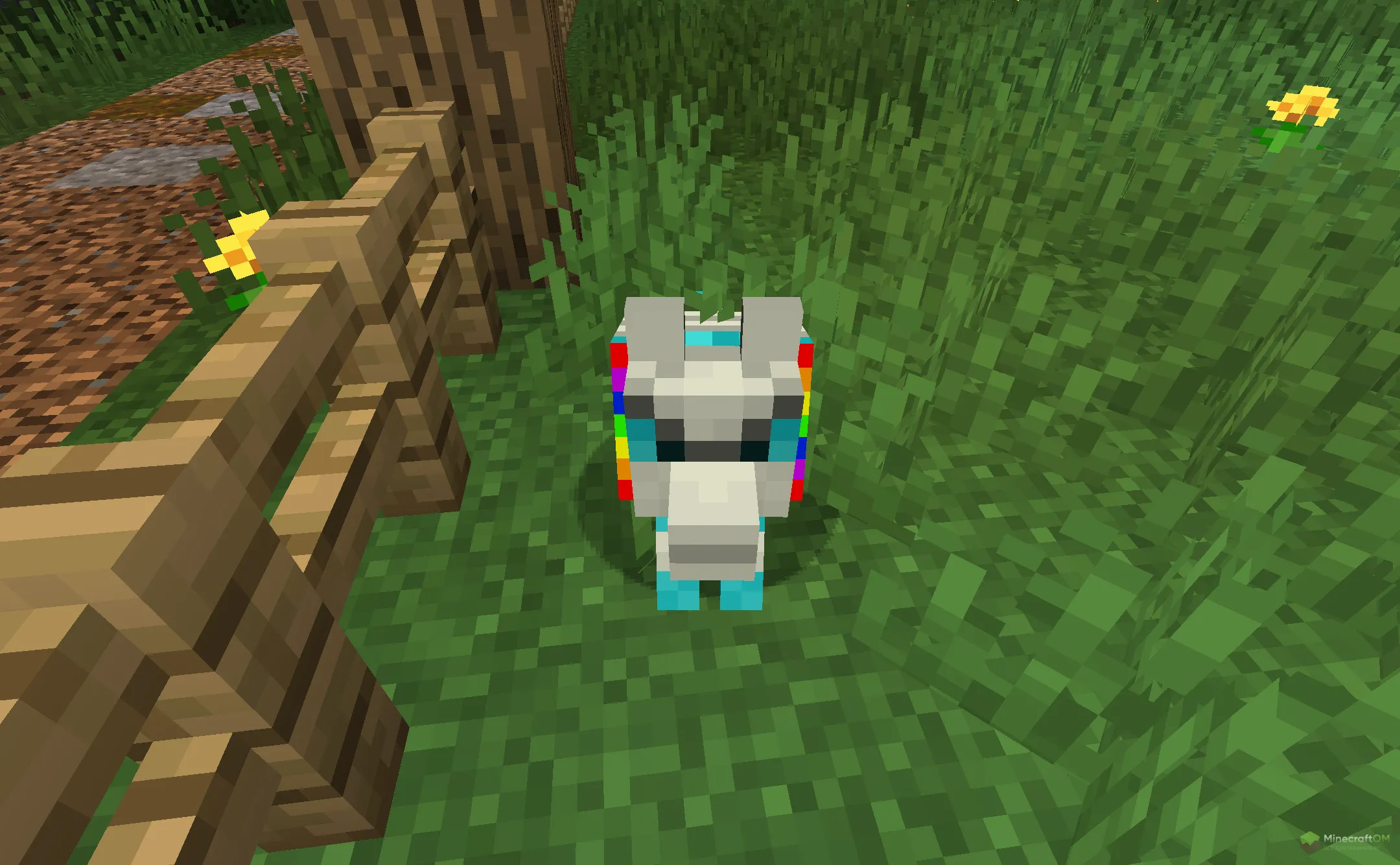 Новая зимняя собака из текстурпака Doggy Talent Dog TP