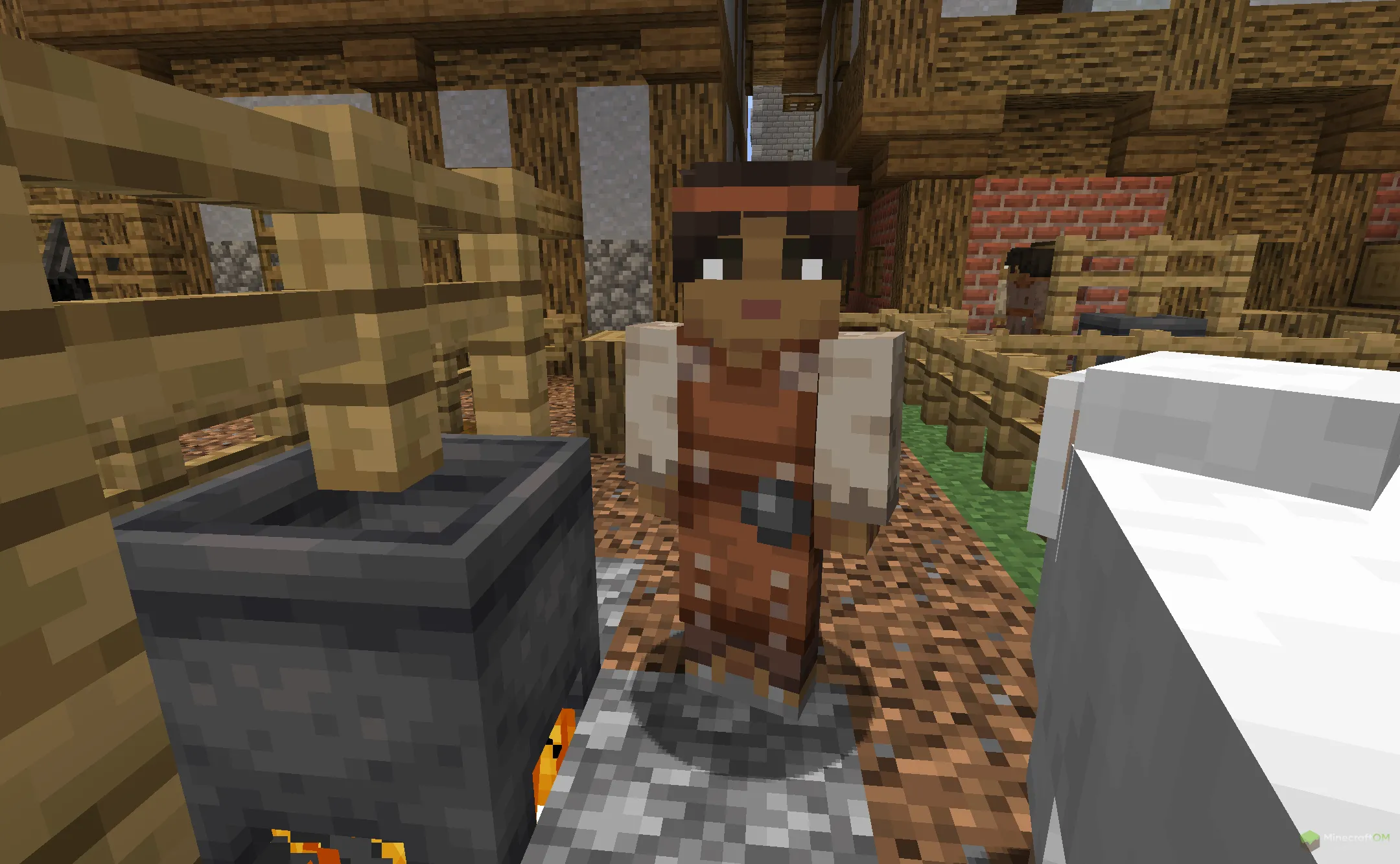 Новый житель из текстурпака Human Villagers Fantasy Races