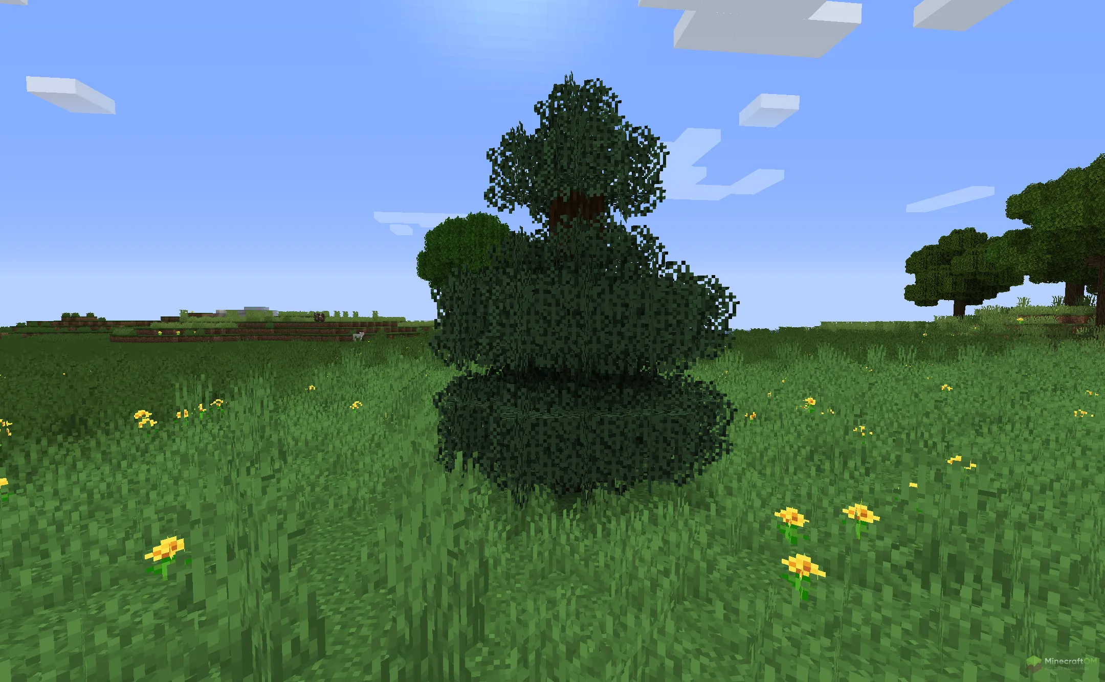 Новая ель из текстурпака Brunozamp's Foliage