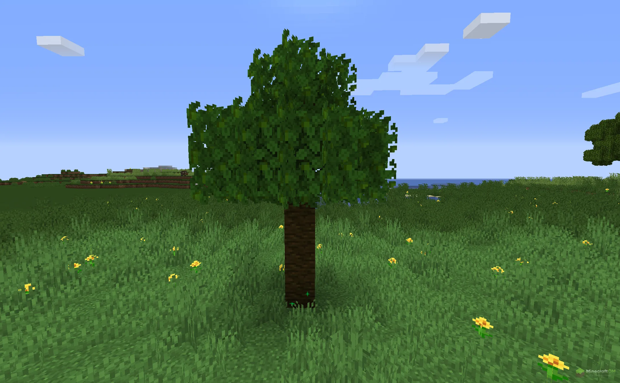 Новая листва из текстурпака Brunozamp's Foliage