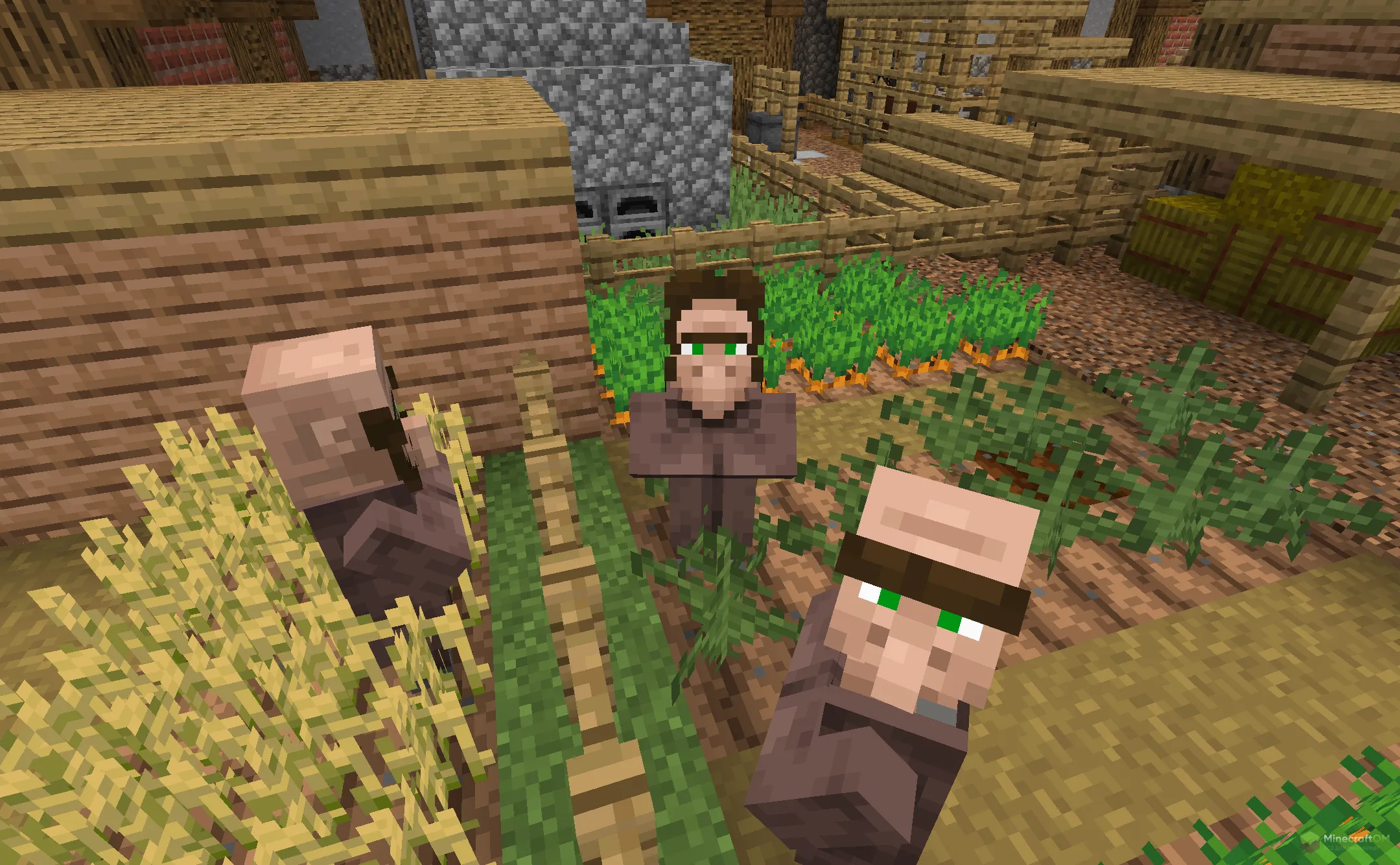 Новые жители из текстурпака More Villagers RP