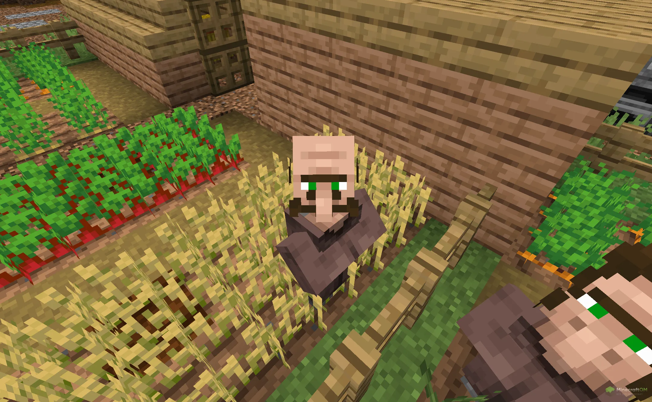 Новый крестьянин из текстурпака More Villagers RP