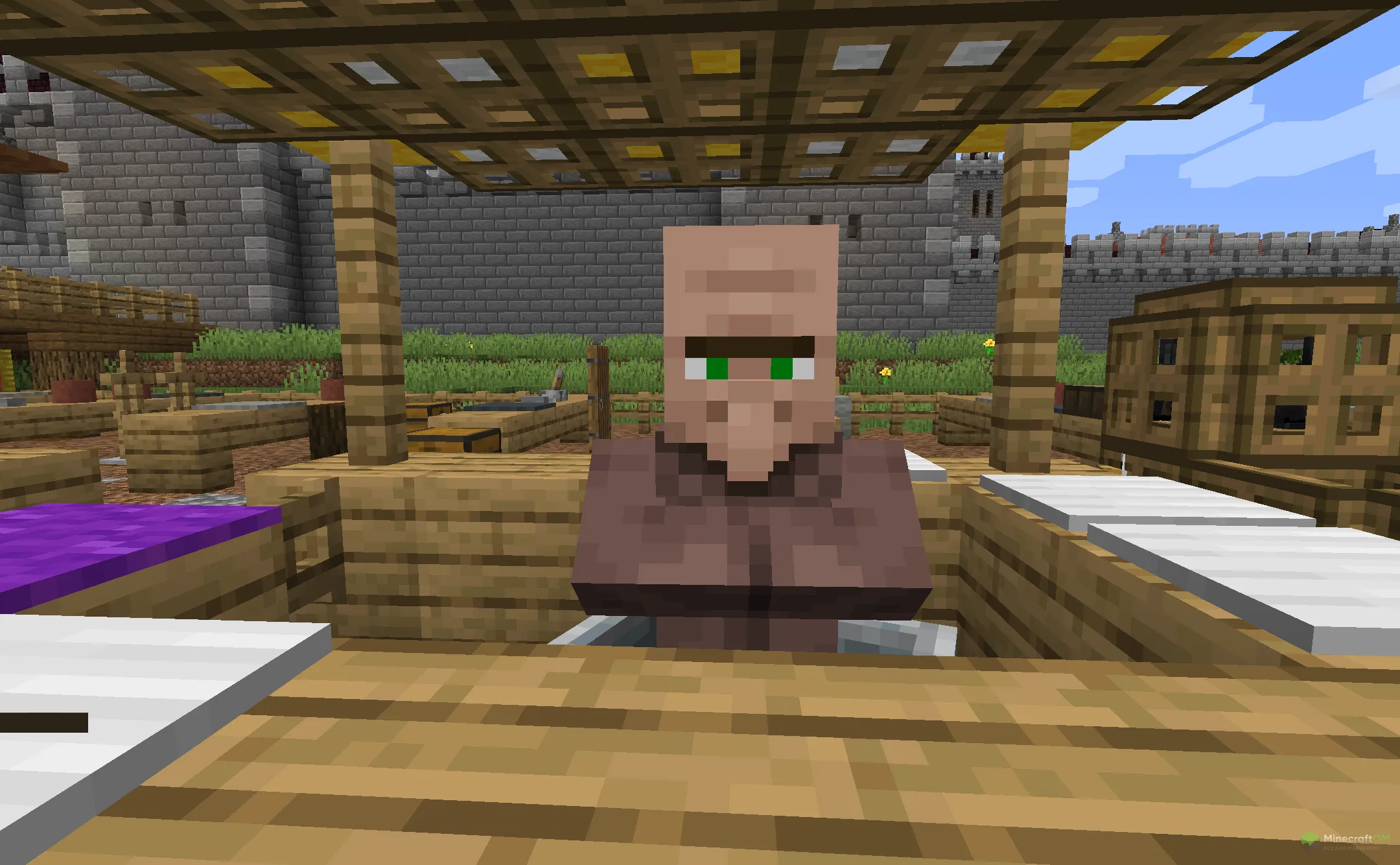 Новый продавец из текстурпака More Villagers RP