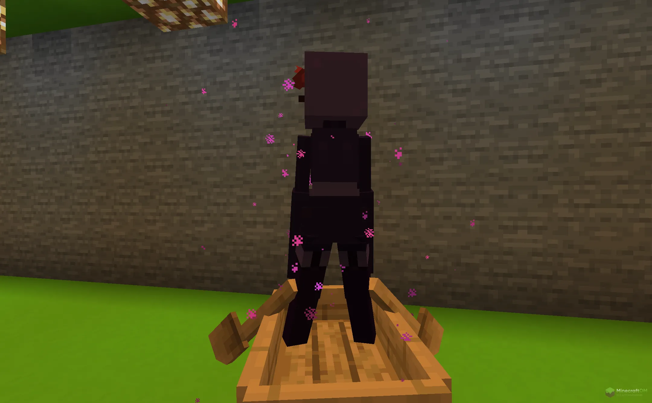 Новая текстура эндермена со спины из текстурпака EnderWomen