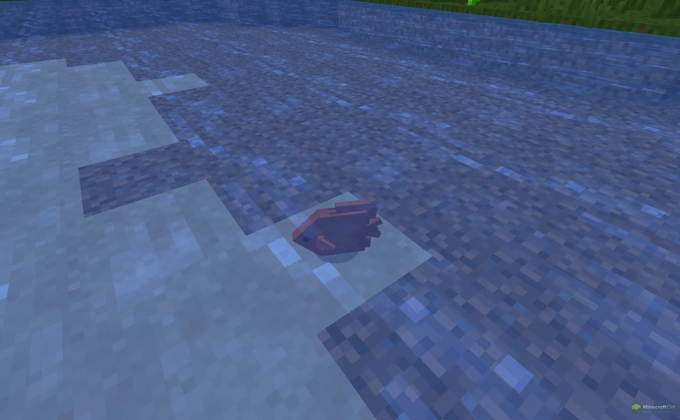 Новая рыба из текстурпака Abyssal Depths Going Deeper