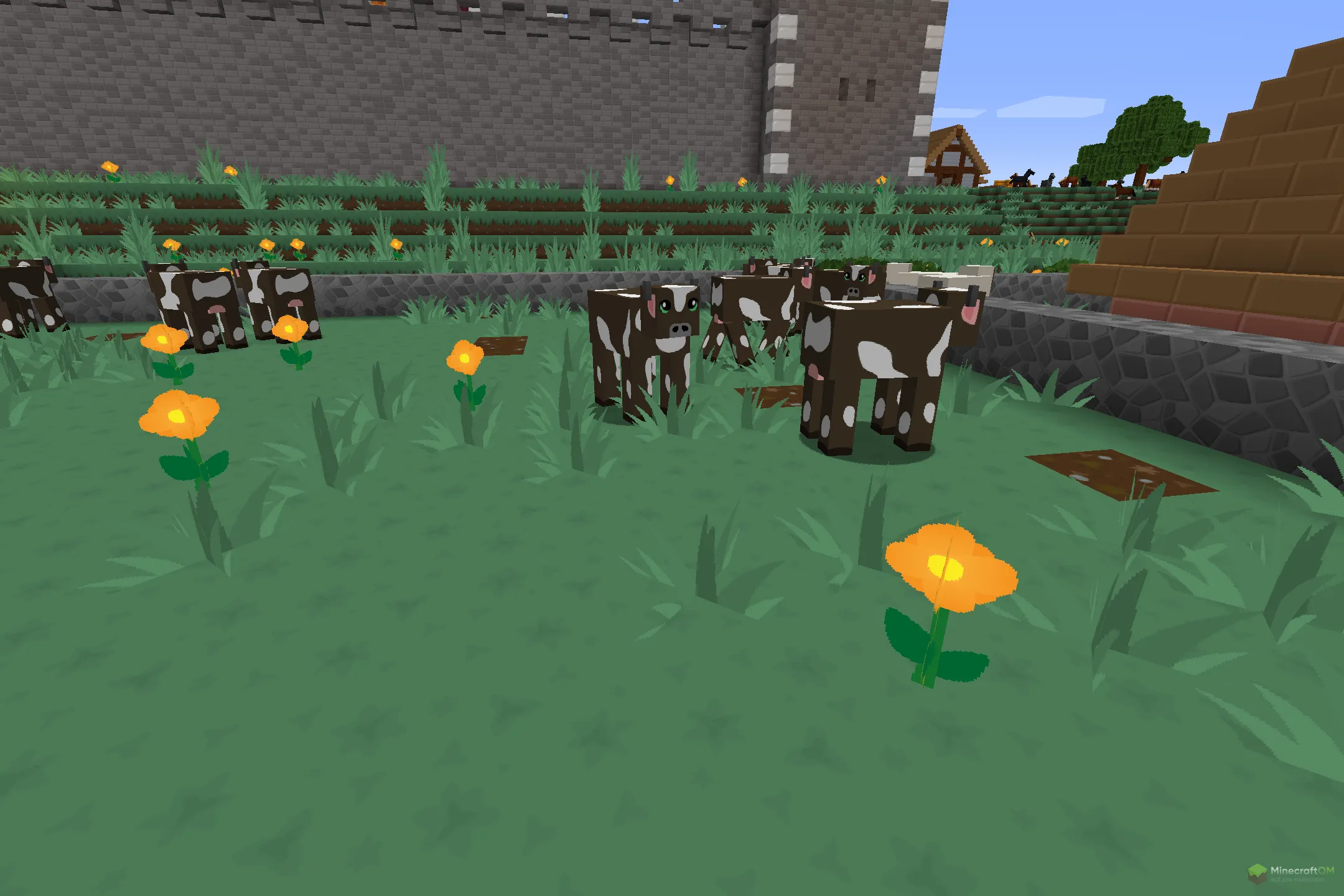 Новые коровы из текстурпака SimonKraft