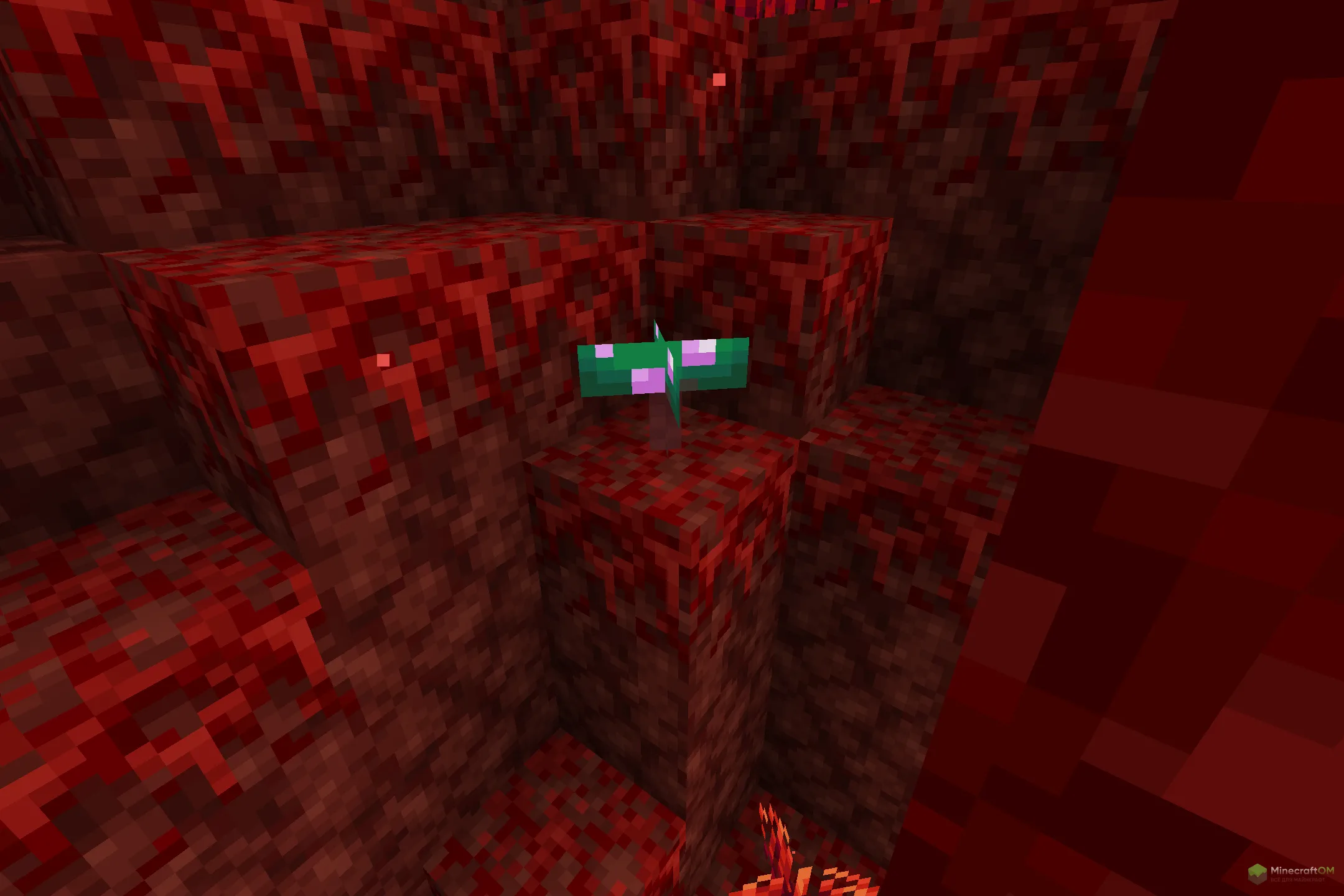 Новый гриб из текстурпака Jadens Nether Expansion