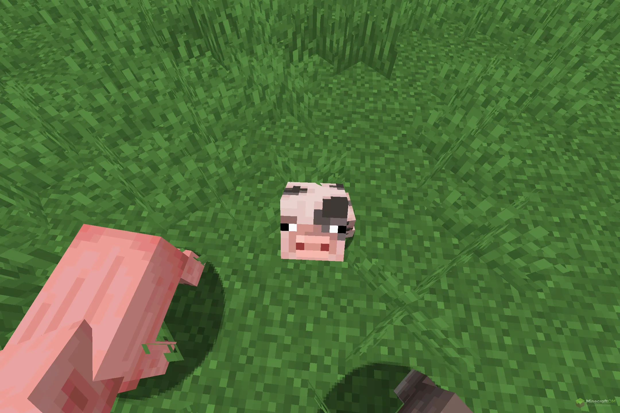 Новый детеныш свиньи из текстурпака More Pig Variants
