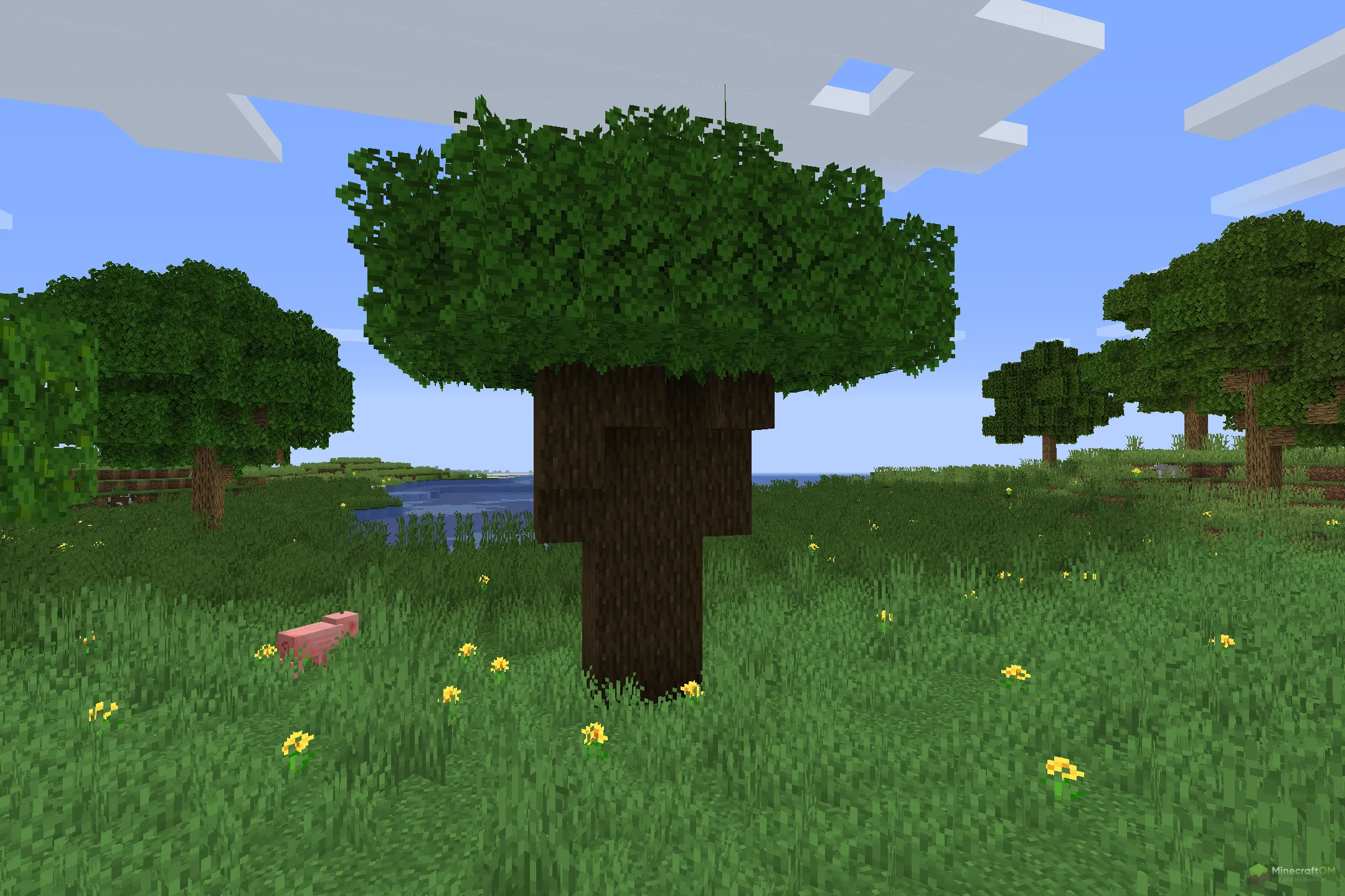 Новый темный дуб из текстурпака Abnormals Bushy Leaves