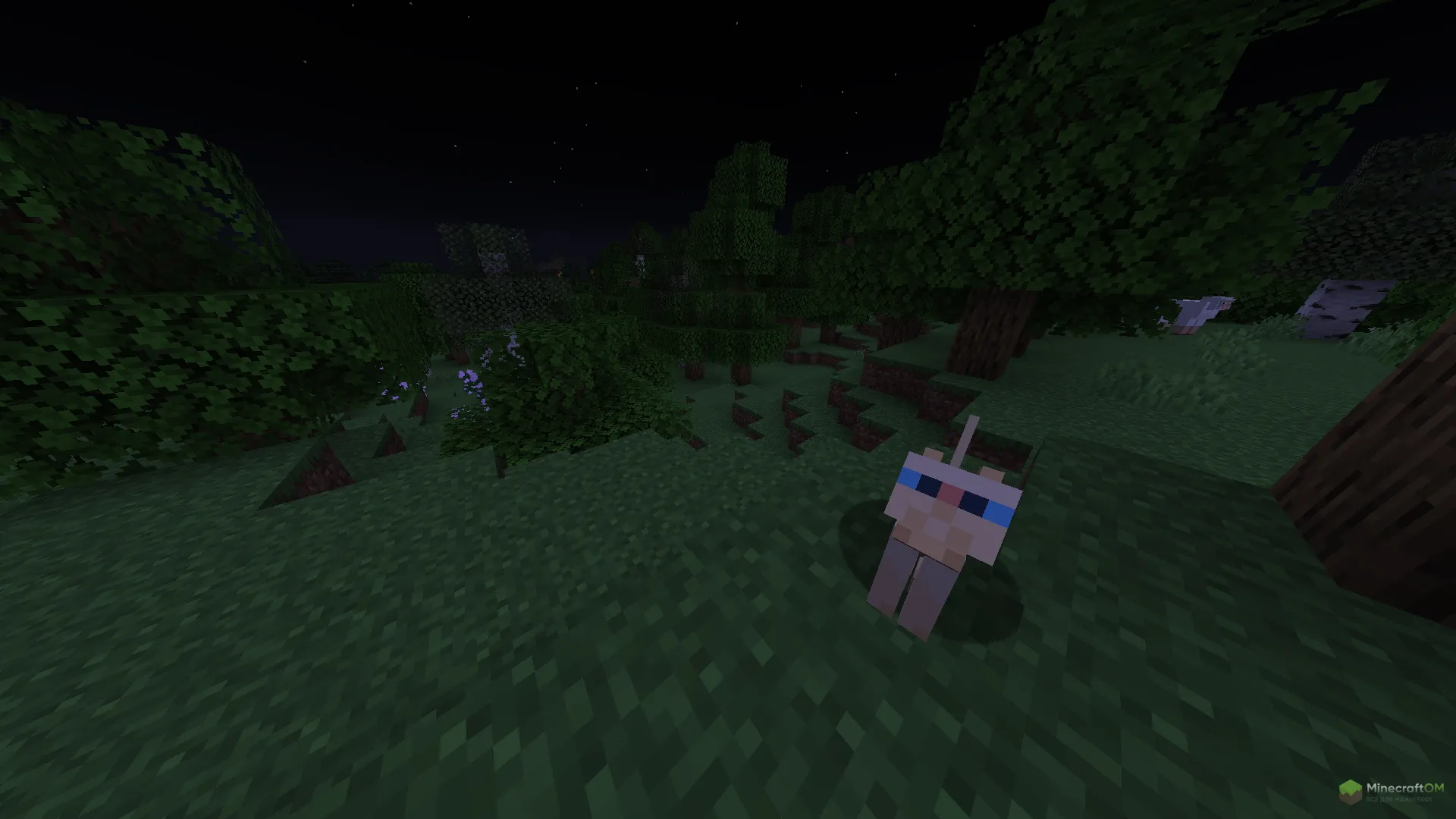 Добавление уникальности в игровой процесс с модом Cat Loaf