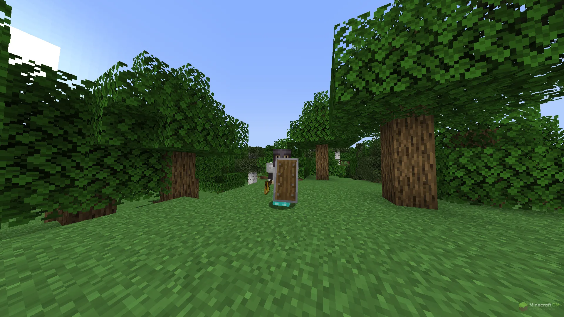 Поднятие щита с модом No Shield Delay