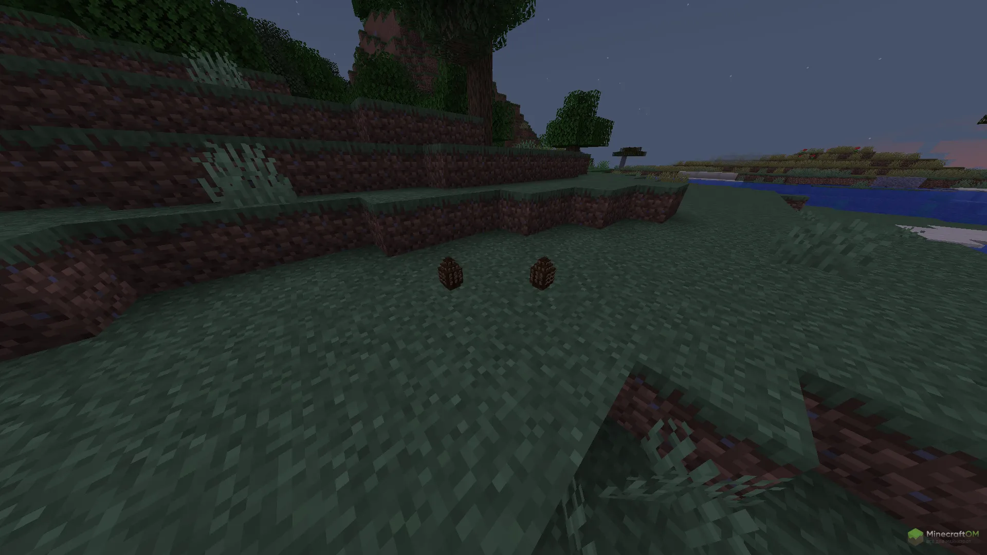 Шишки из мода This Rocks