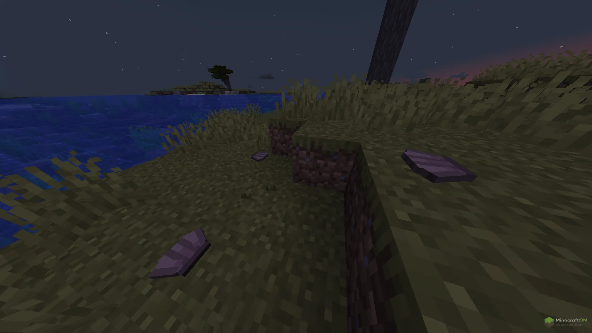 Морские ракушки из мода This Rocks