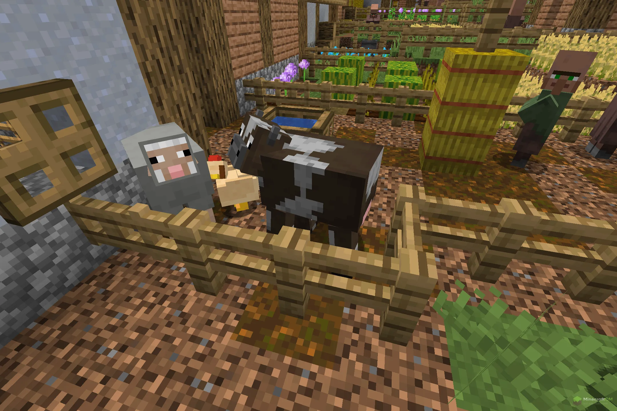 Новые животные из текстурпака Detailed Mobs