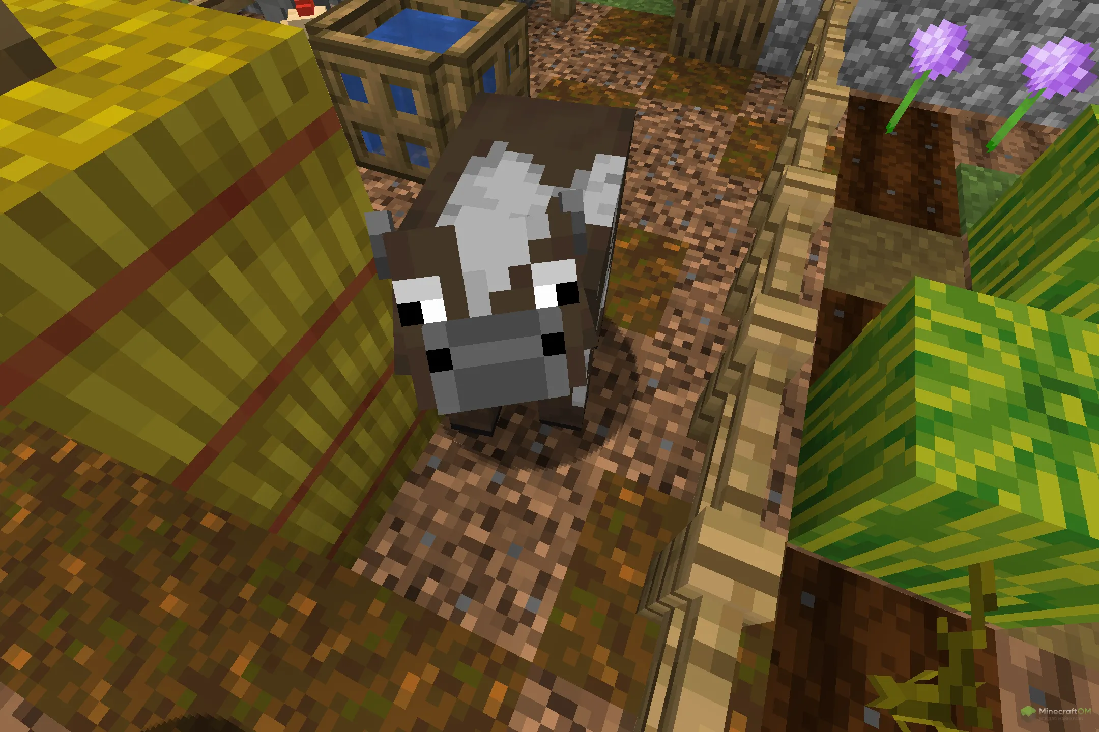 Новая корова из текстурпака Detailed Mobs