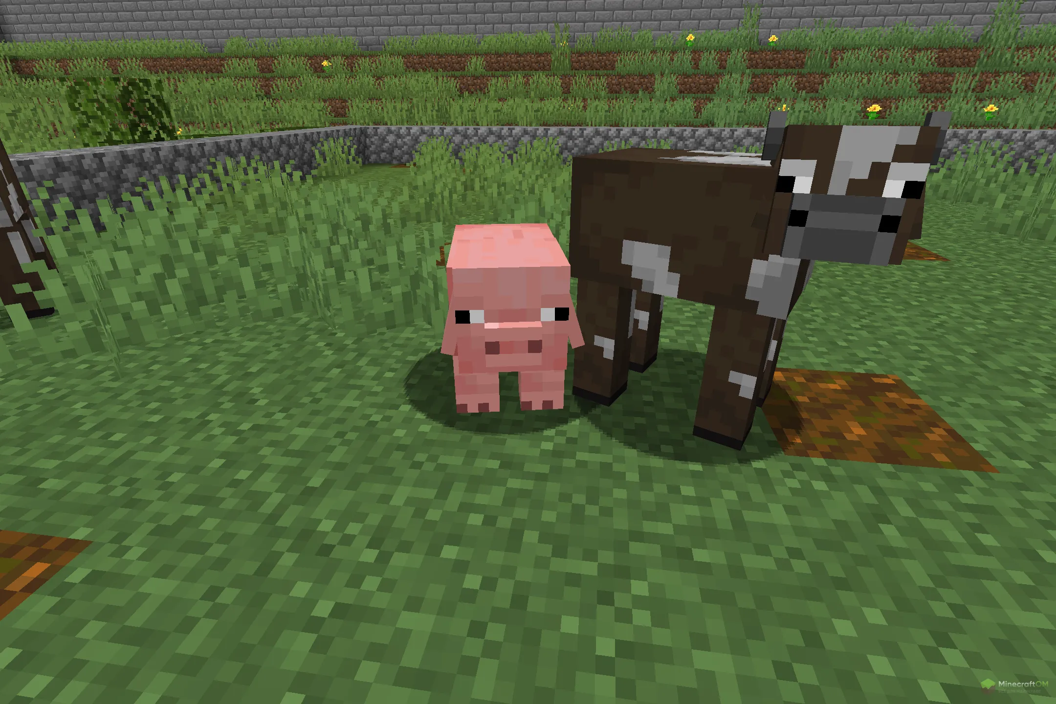 Новая свинья из текстурпака Detailed Mobs