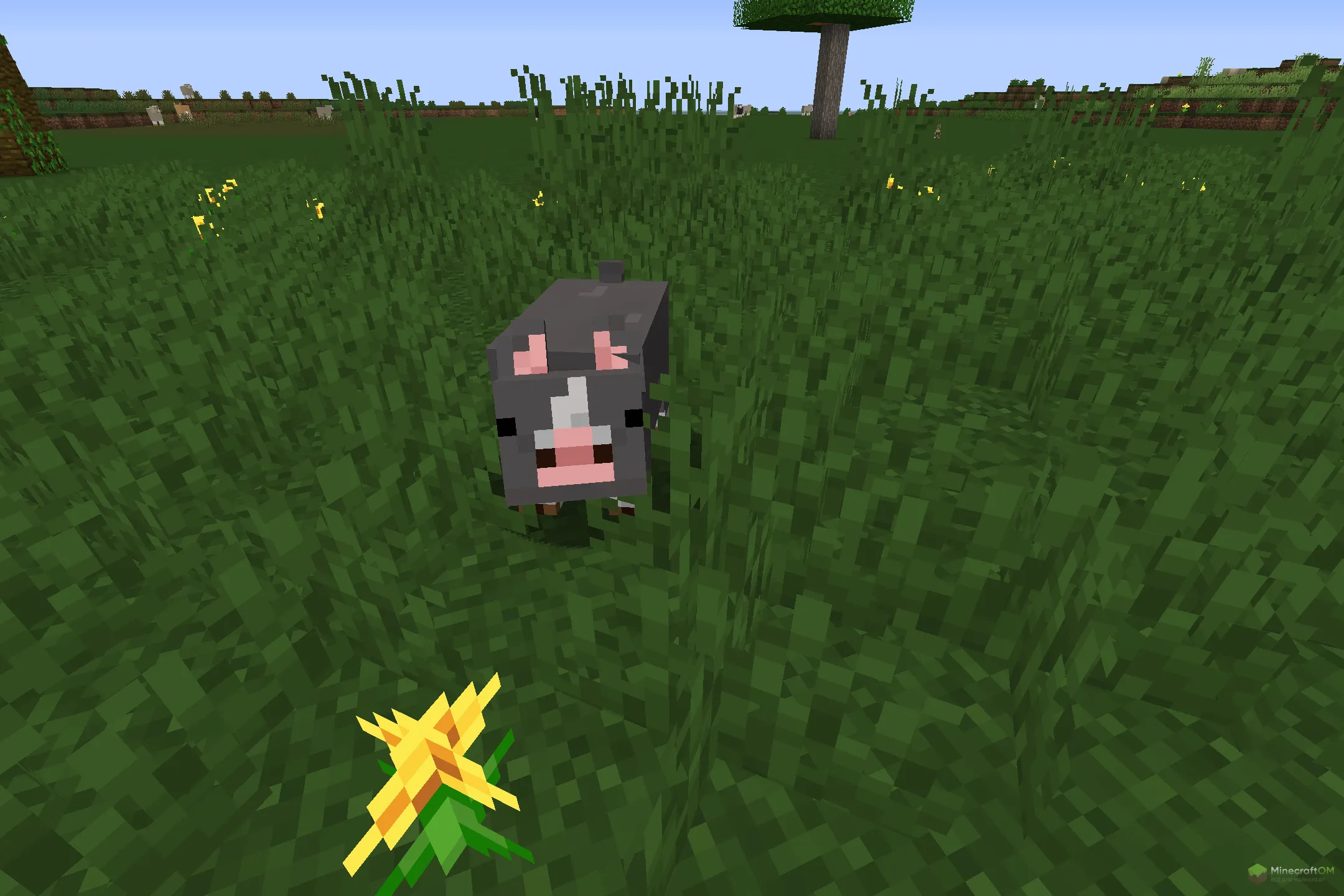 Новая свинья из текстурпака Renewed Animal