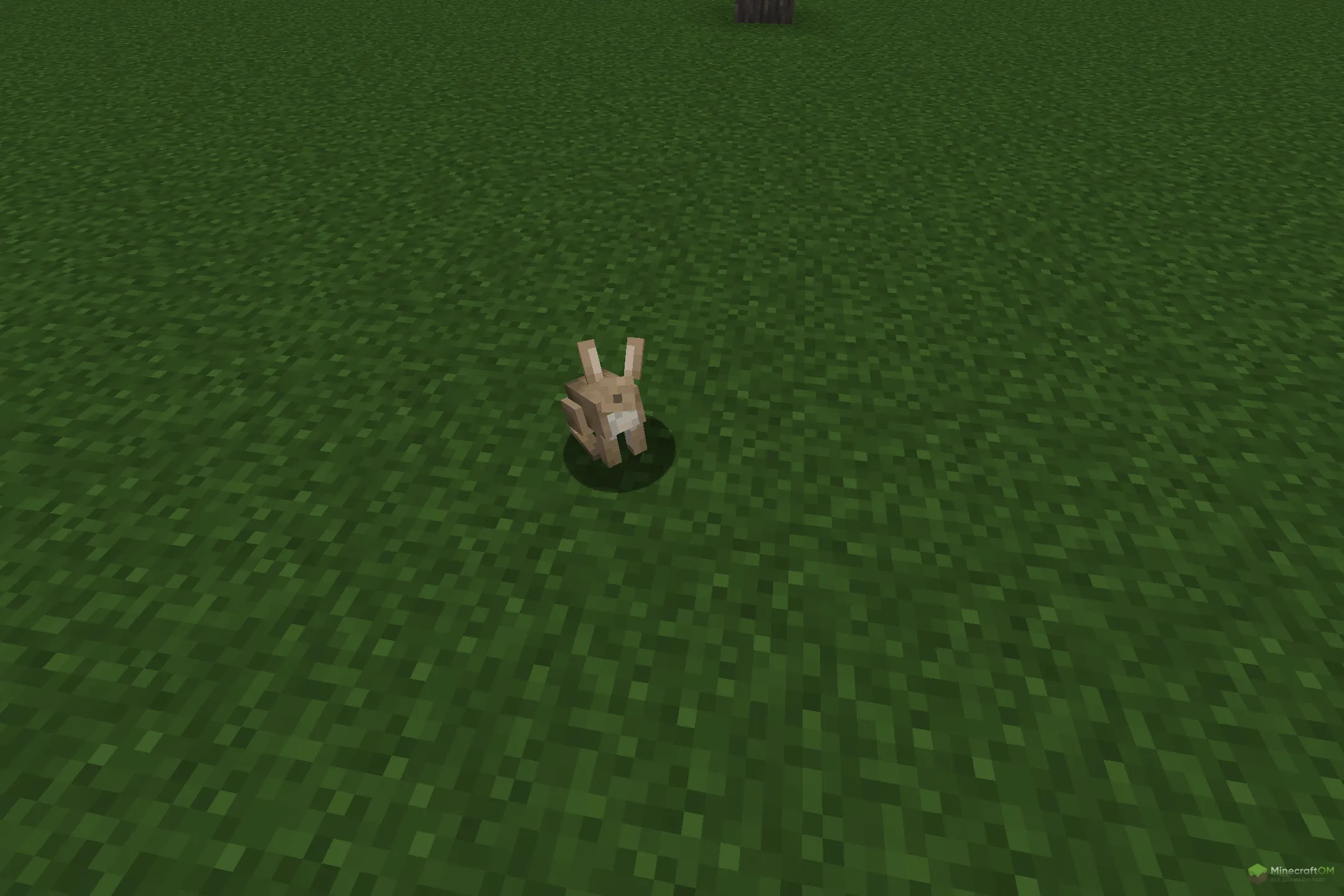 Новый кролик из текстурпака Renewed Animal