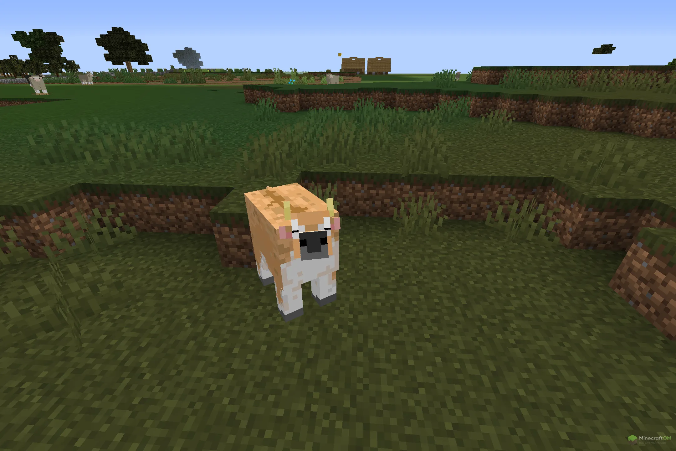 Новая корова из текстурпака Renewed Animal