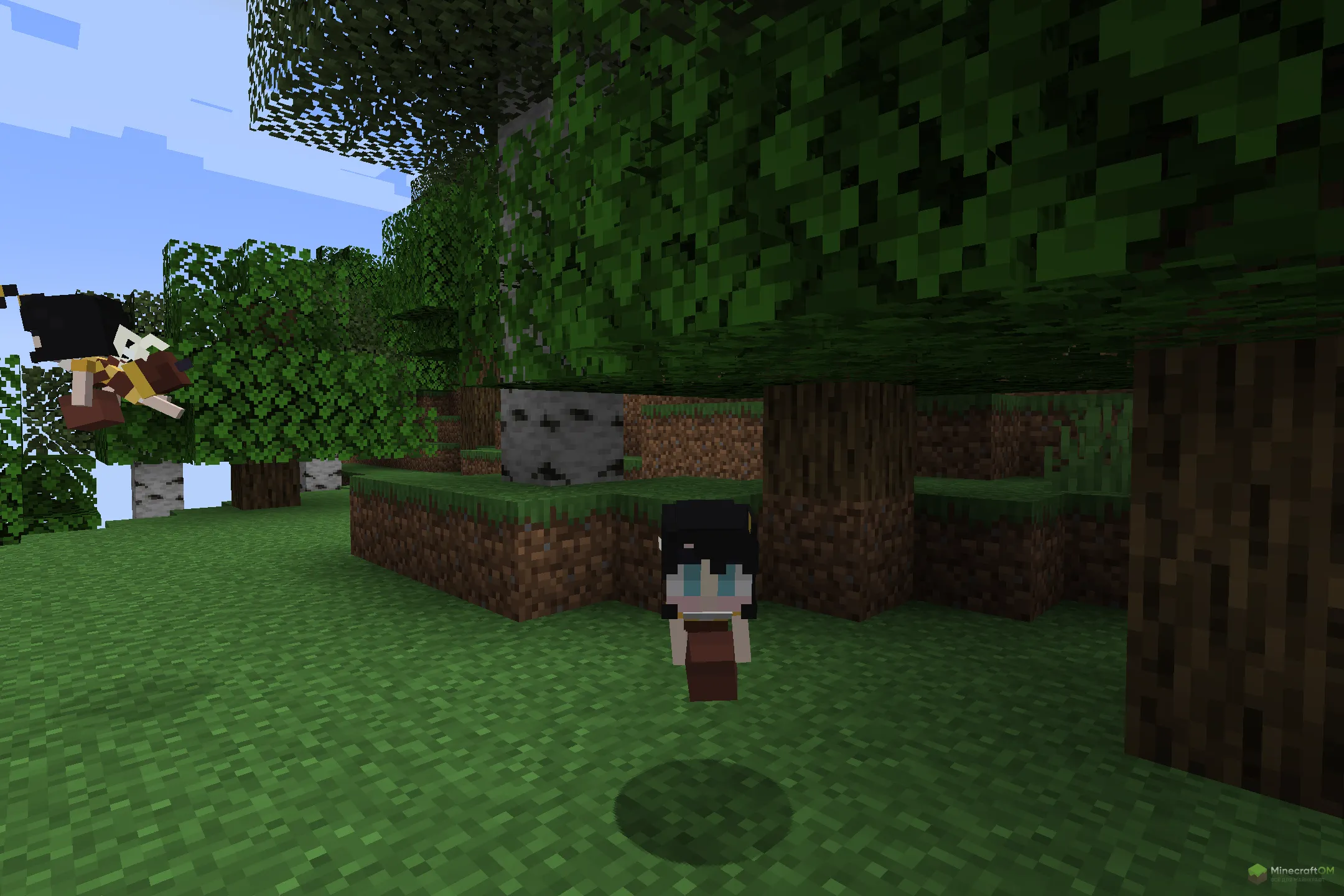 Новая пчела из текстурпака Bee Girl