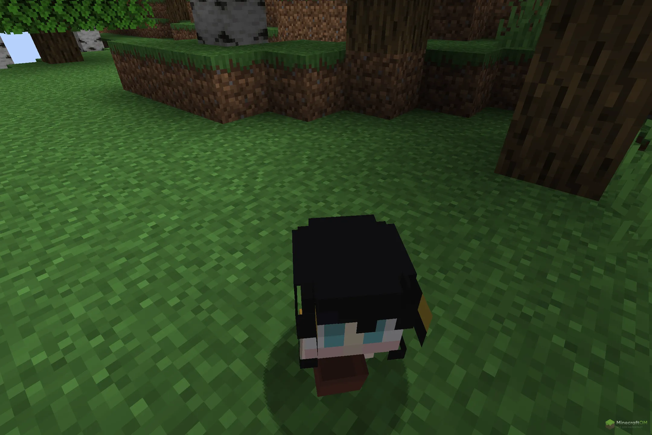 Новый моб из текстурпака Bee Girl