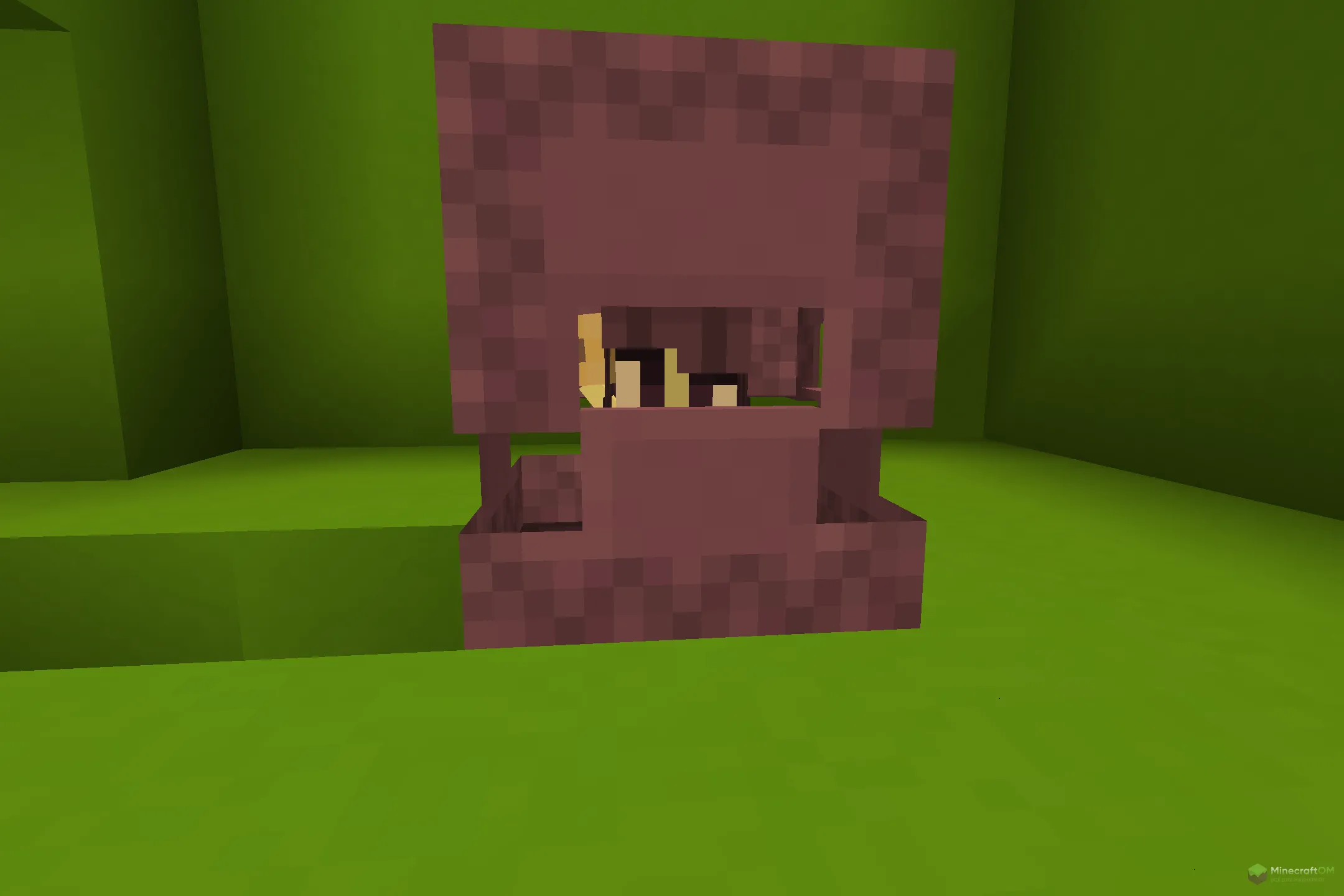 Новая девушка из текстурпака Shukler Girl