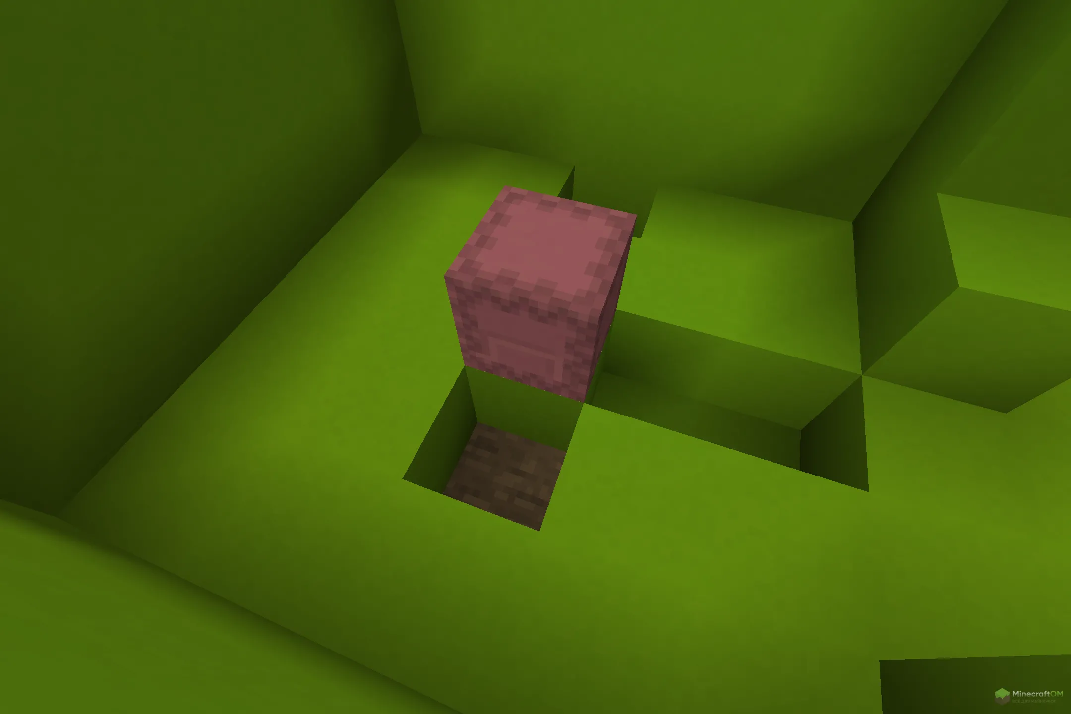 Новый блок из текстурпака Shukler Girl