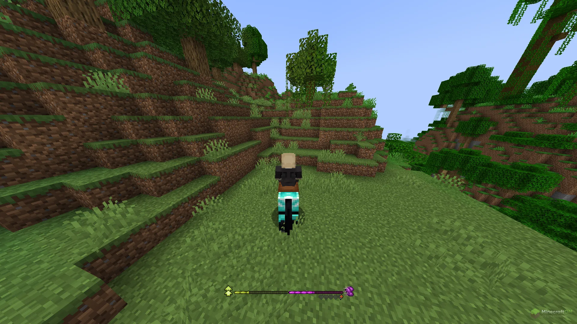 Отображение характеристик животного в моде RideHud