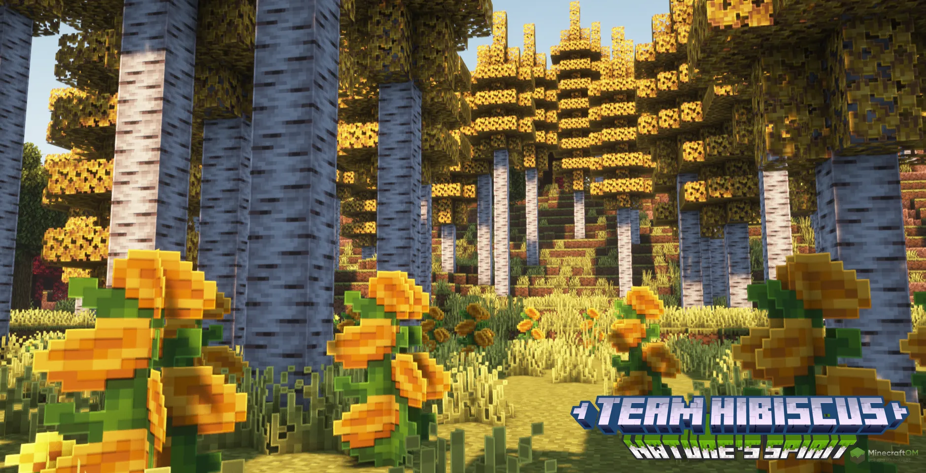 Осиновый лес