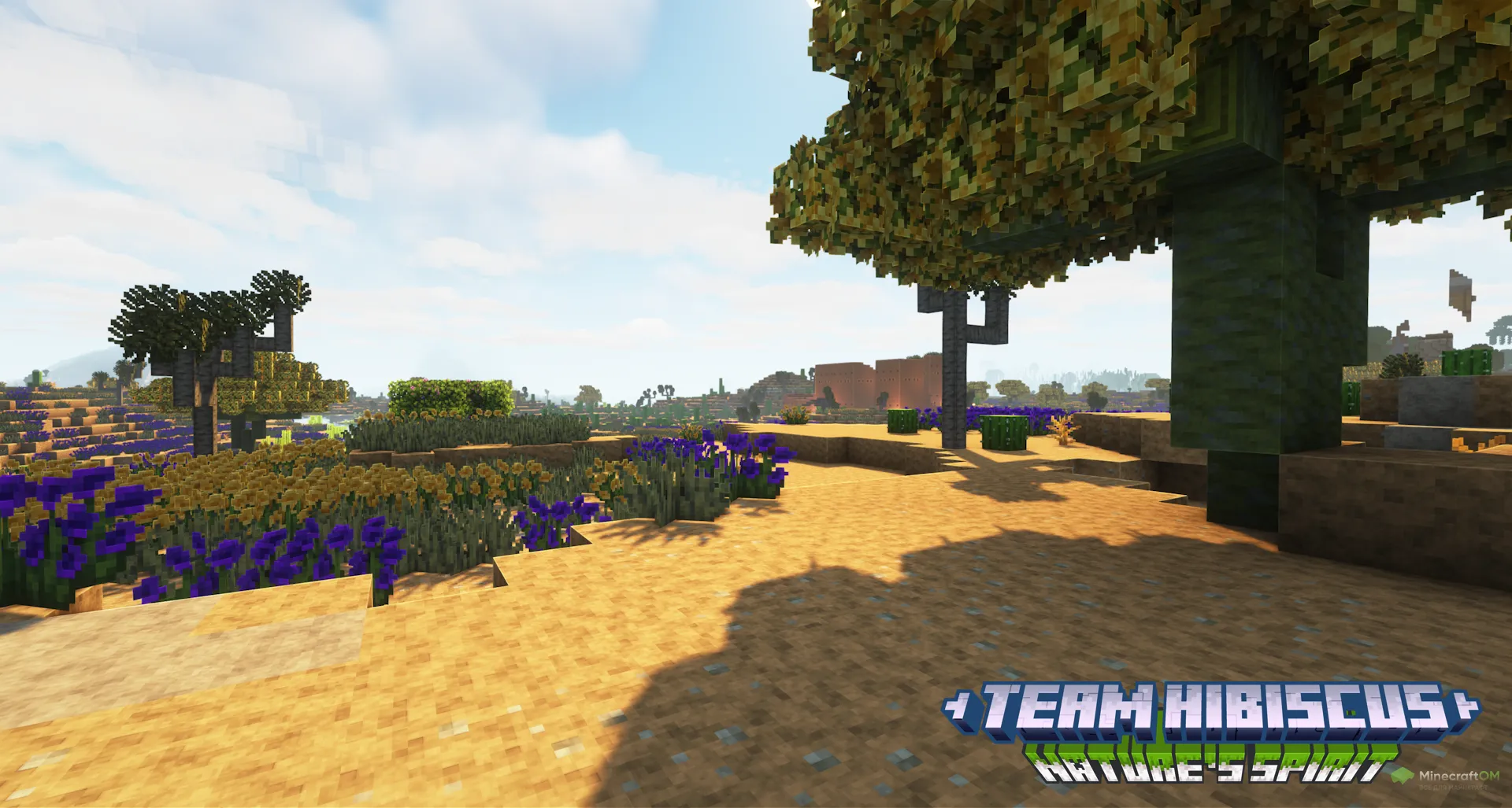 Цветущие дюны