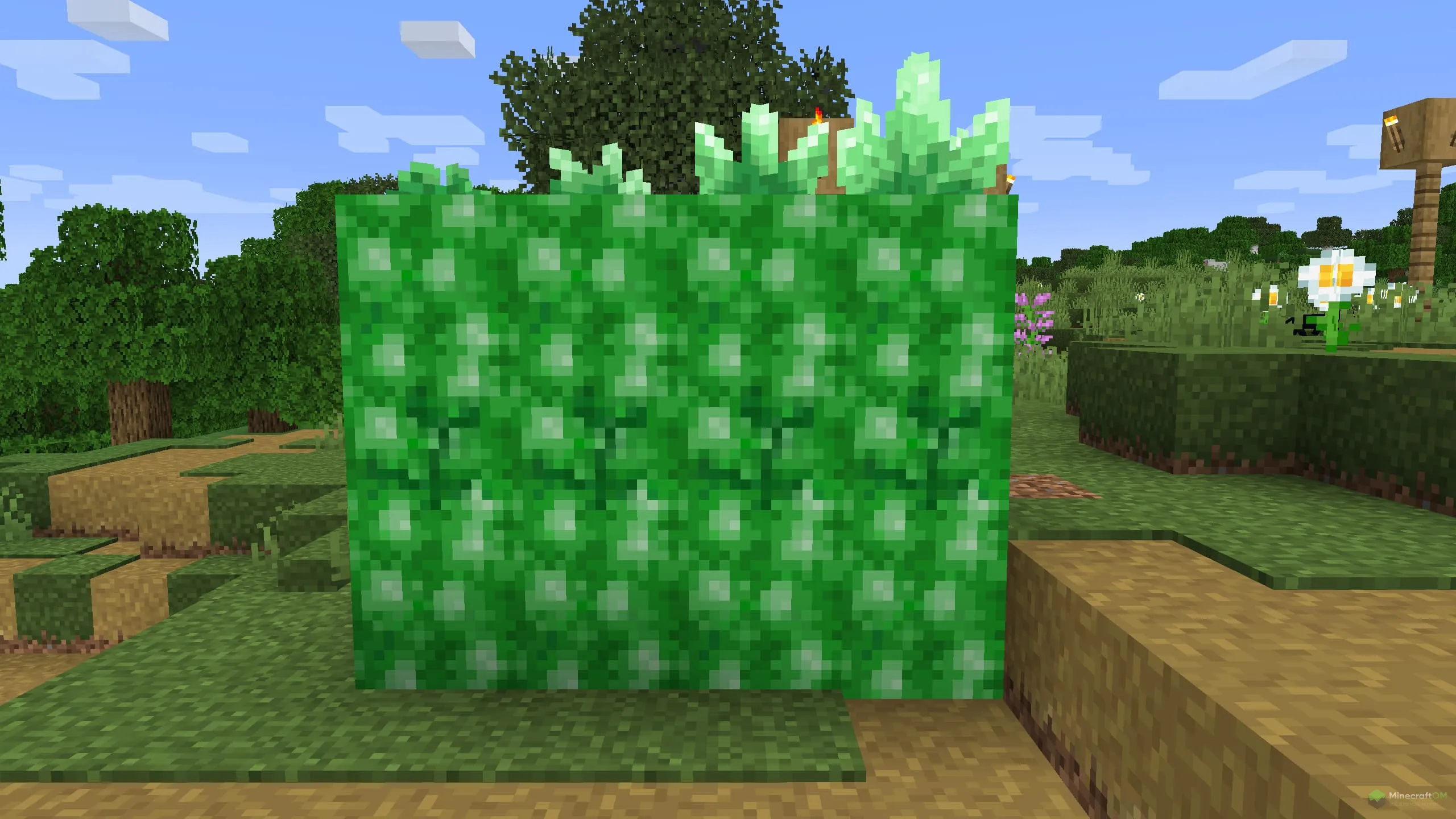 Части изумрудной жеоды