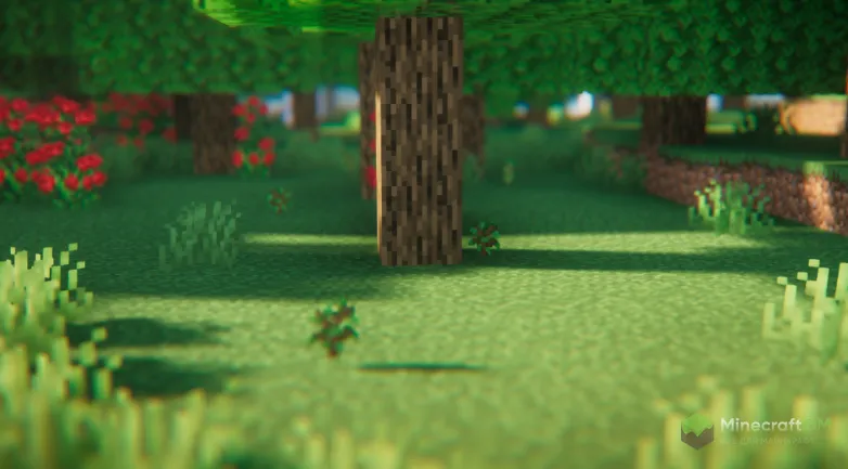 Саженец упал