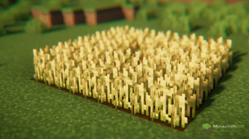 Применение мода