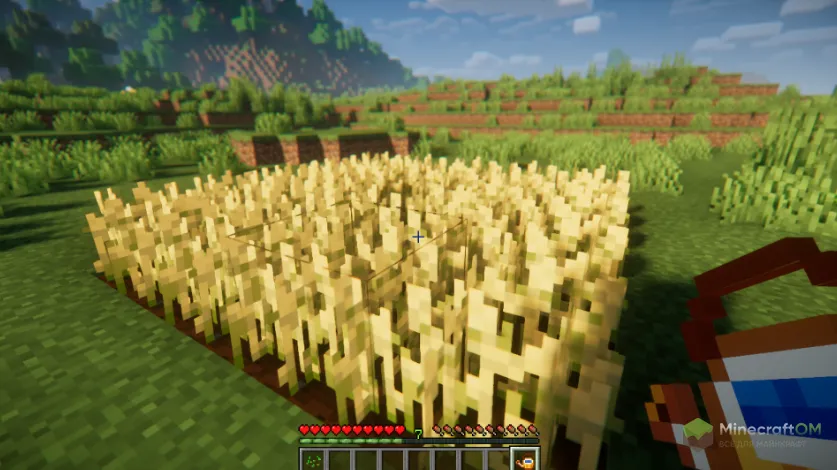 Поле, политое с помощью лейки