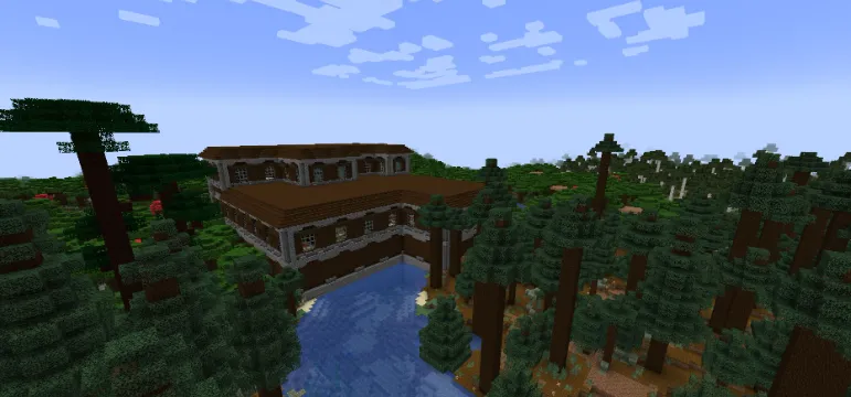 Структура в новом лесу