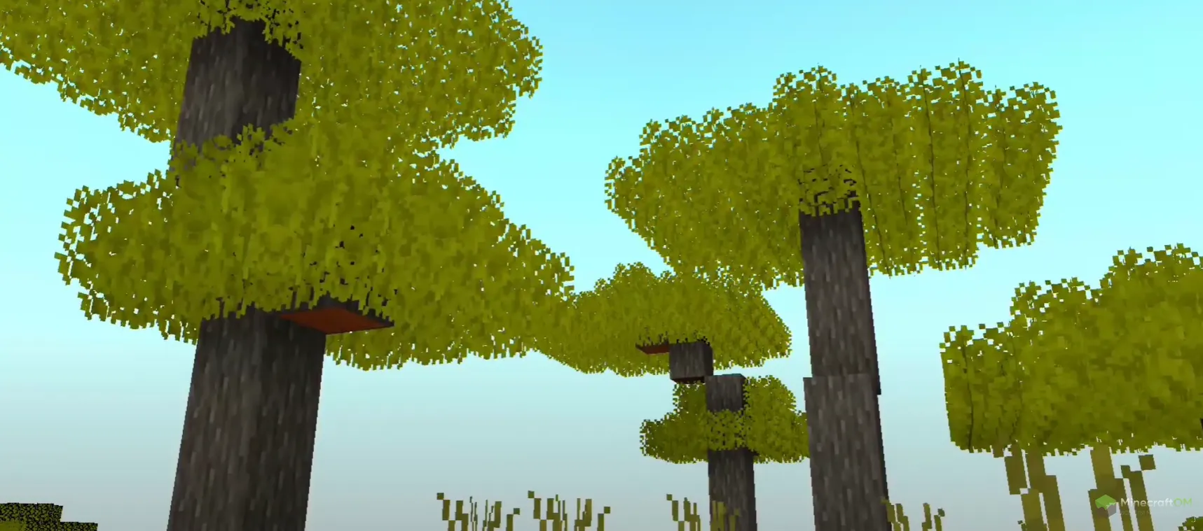 Новые акации из текстурпака Lush Leaves