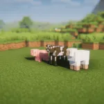 Взрослые животные