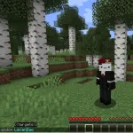 Мгновенное изменение скинов