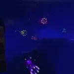 Радужные существа