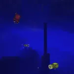 Новые светящиеся кальмары