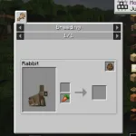 Описание кролика